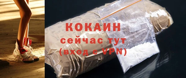 амф Козельск