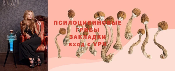 герыч Кодинск