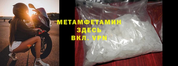 прущие грибы Корсаков