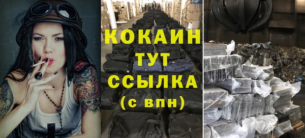 PSILOCYBIN Кинешма